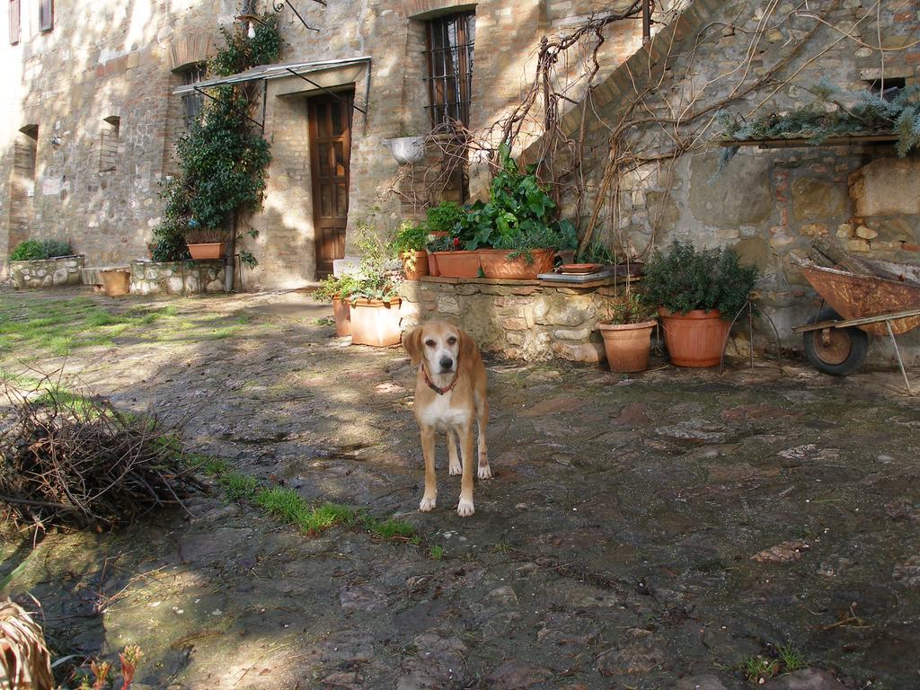 B&B Della Rosa Civitella D'Arna Luaran gambar
