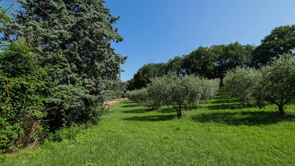 B&B Della Rosa Civitella D'Arna Luaran gambar